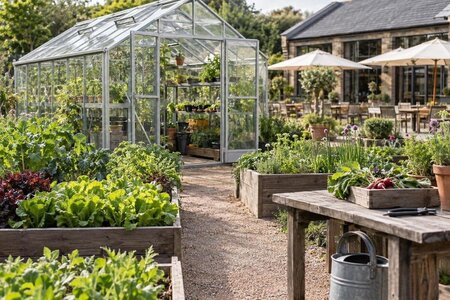 Odla till restaurangen – planera växthuset
