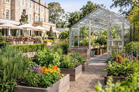 Planera hotellväxthuset för örter och ätliga blommor