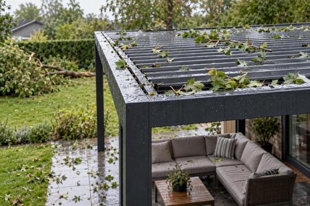 Så inspekterar du pergolan efter storm